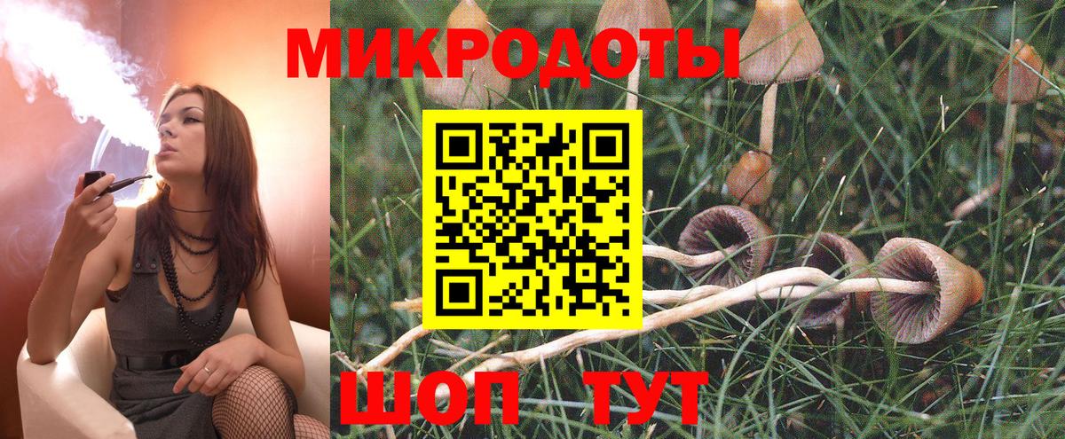 Псилоцибиновые грибы мицелий  Вход с VPN  Чайковский  Псилоцибиновые грибы GOLDEN TEACHER 